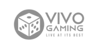 Brasil Bet partner logo